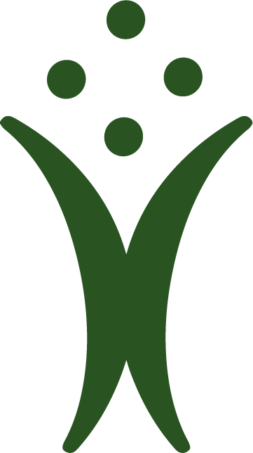 APNIC icon — four dots above a figure